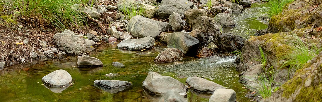 Cascade Canyon creek