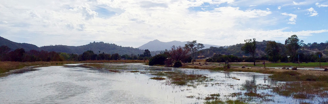 Scenic view across the water of McInnis Marsh
