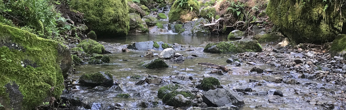 Buck Gulch seasonal stream