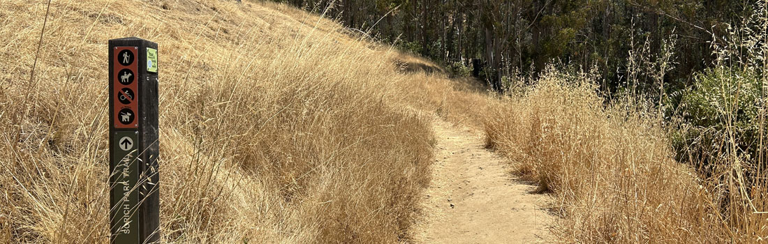 Sorich Trail