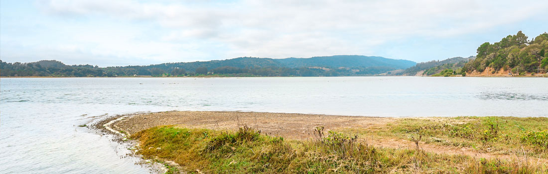 looking out over the water at Bolinas Lagoon
