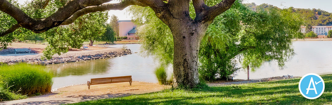 Lagoon Park bench under heritage oak, with Parks Measure A logo lower right