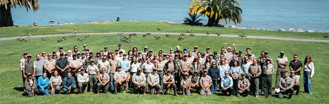 Parks staff on the lawn at McNears Beach Park