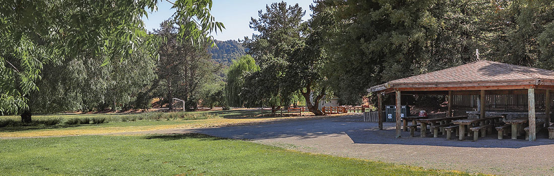 Stafford Lake Park picnic area