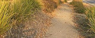 A pathway in the Rush Creek Landscape and Lighting District