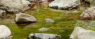 Cascade Canyon creek