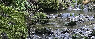 Buck Gulch seasonal stream