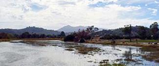 tidal flow at McInnis Marsh