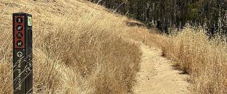 Sorich Park Trail