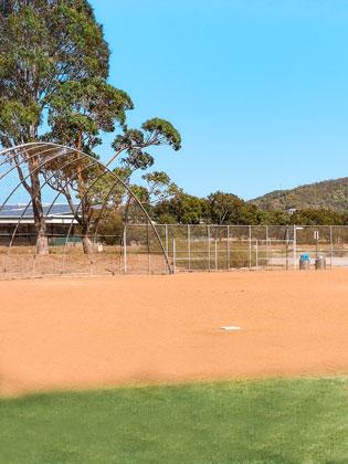 Mt Tam baseball field at McInnis Park