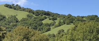 Bowman Canyon landscape, oak woodlands and blue skies